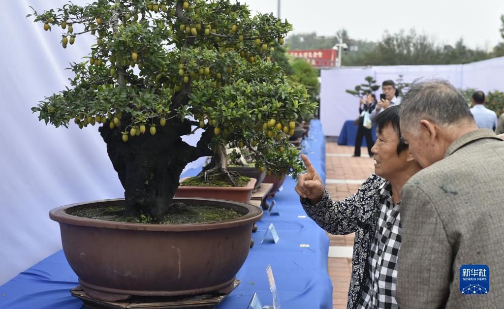 海马策略论坛网址